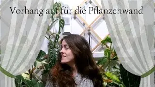 Ich habe eine Pflanzenwand bepflanzt – DAS Ergebnis 😍🌿