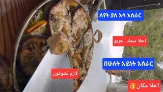 #ለየት ያለ የአሳ አሰራር(how to make fish)@donkeytube.eshetumelese @abelbirhanu1 @AbugidaMedia