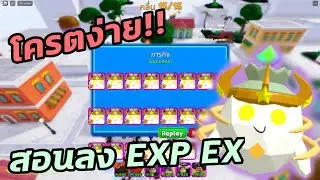 สอน Solo EXP Extreme 🔥 All Star Tower Defense [ASTD]