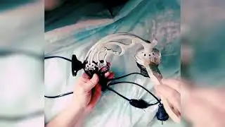 I'm repainting an old lamp and chandelier! It's a set! ( I'm using a translaror).