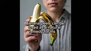 Random Facts #6