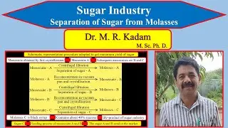 Separation of Sugar from Molasses