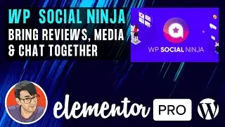 WP Social Ninja - Wordpress and Elementor Social Reviews, Accounts and Instant Social Chat Messenger