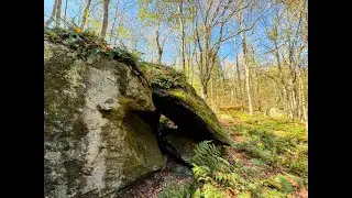 Roosting Mother Bird-Totems of Rebirth 🐣🦅 Upland Mohican Territory Bird Nest Shelter.