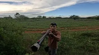 Best Shoot of my Life | Bird Bush 2025 Jamaica Ep:32