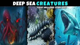 7 Mythical Deep Sea Creatures That Really Existed | KNOWiT
