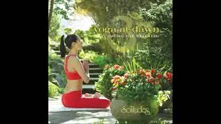 Yoga At Dawn [Music for Wellness] - Dan Gibson & Daniel May