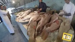 Qateef Fish Market
