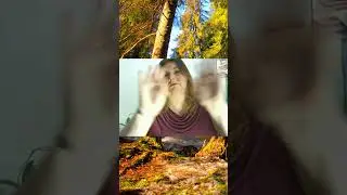 Feeling Unsafe? Try Grounding with Reiki, Obsidian & Tiger's Eye 🌍✨