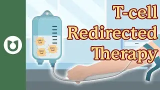 What Are T-Cell Redirecting Therapies? A Simple Guide for Multiple Myeloma Patients 