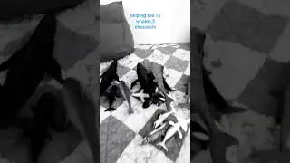 helping the 15 whales,2 dinosaurs #shorts #sea #dinosaurs #helping #deppsea #seaanimals