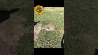 Prairie Dog State Park - Norton, KS