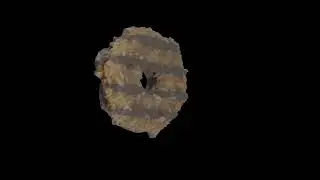 Coconut cookie 3D photogrammetry scan