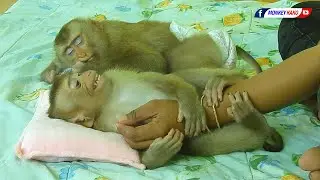 Cuties Baby KAKO & LUNA Can't Sleep Well Without Hug MOM Hand