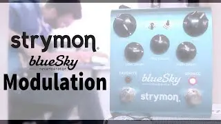 Strymon Blue Sky | Mod | Plate | Setting [This sounds pretty Ambient!]
