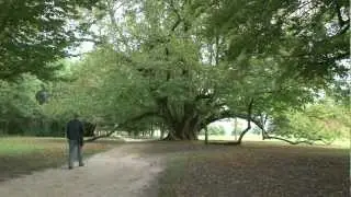 Val de Loire - Cheverny, Troussay et Foug&egrave;res