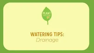 Watering Tips #2