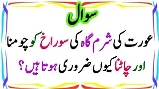 Catna Chomna | 50+ Amazing General Knowledge Question in Urdu| Paheliyan in Hindi