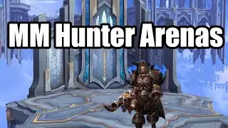 More Arena Fun | MM Hunter/HPal Arenas | WoW Shadowlands PvP
