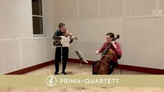 Wonderwall | Oasis | Violine & Cello Duett | {Live}
