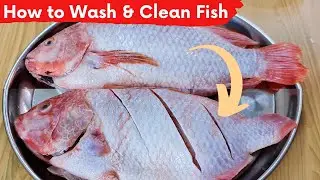 🐟 How to Wash & Clean Fish &mdash; Simple, Fresh & Ready to Cook!