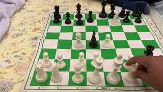 Top Best Chess Trap #chess #sports #motivation #india #viral #shorts 
