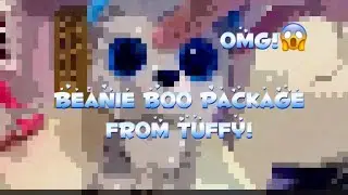 Beanie Boo Package Unboxing from Tuffy!|Boo and Birds
