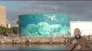 BlueGAP | Jaclyn Lopez | Nitrogen Pollution in Tampa Bay