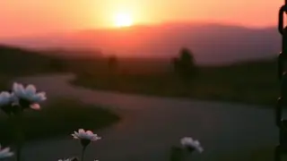Chains of Bitterness 