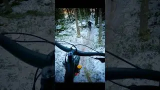 DROP line at forest #shorts #youtubeshorts #mtb #enduro #downhill #downhillmtb #bikers #video