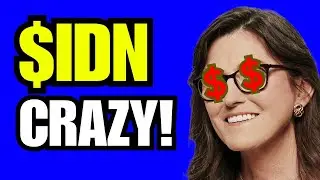 IDN STOCK TARGETS NEXT? (april buy?) IDN stock trading broker review