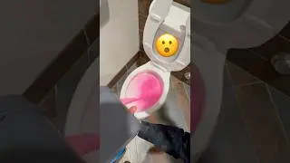Using an RV Cassette Camping Toilet