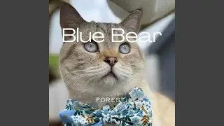 Blue Bear