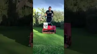 7 mm mowing Lawnmaster 500 golfgreen