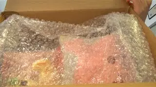 BEST SQUISHY PACKAGE!!!