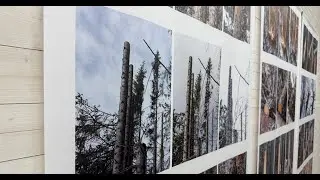 Observation of Change ble vist p&aring; nasjonalparksenteret i Saltdal og sendt videre til Havremagasinet