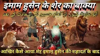इमाम हुसैन और शेर का बाक्या।abul harish aur imam husain#jungekarbala#imamhusain