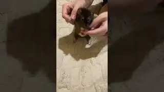 Дайте мені капучино 😎😎❤️🔥