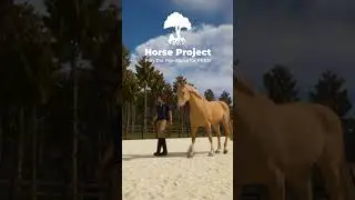 NEW cozy horse game alert! - Play for FREE