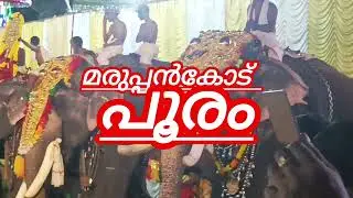 മരുപ്പൻകോട് ചെറിയ പൂരം #akstudio7272 #shortsfeed #viralvideo