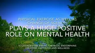 Change of scenery and physical exercise play in important role in physical and mental health