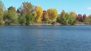 Colorado Fall Leaves October 20, 2025