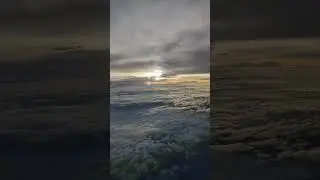 Captivating Nature