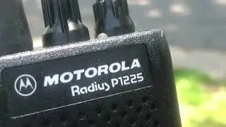 Motorola P1225 Radius MURS Radio Chatter MURS Channel 4 Blue Dot - 154.570 MHz
