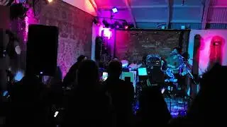 promised land  -  china cat sunflower  12.31.22
