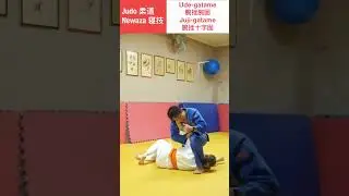 Judo Ground Techniques: from yoko-shiho-gatame (side four corner hold) to 2 armlocks