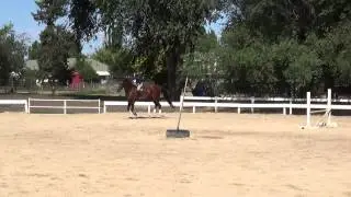 Marshall Jumping