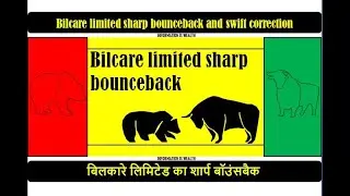 Bilcare Limited sharp bounceback and swift correction - Bilcare Share Price