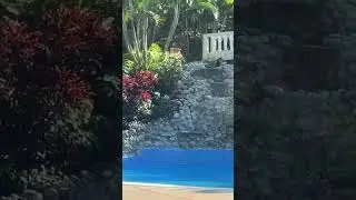 Terraza Tropimar Pool
