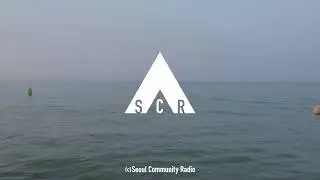 SCR GUEST MIX - Ray Mang (08.12.17)